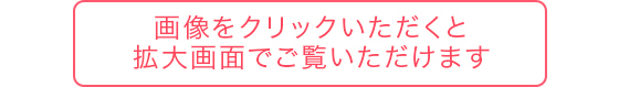 画像をクリックいただくと拡大画面でご覧いただけます